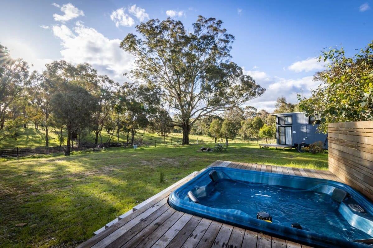 Tiny House At Dreams Alpaca Farm - A Outback Experience *